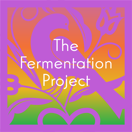 The Fermentation Project Tasting Set (pre-order)