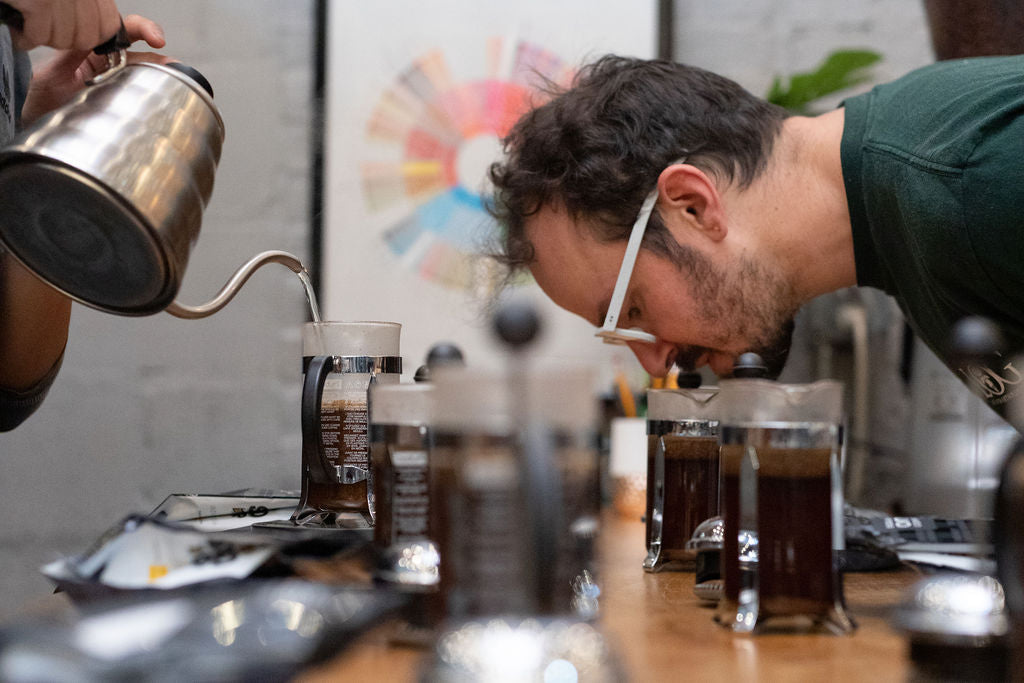French Press Brew Guide