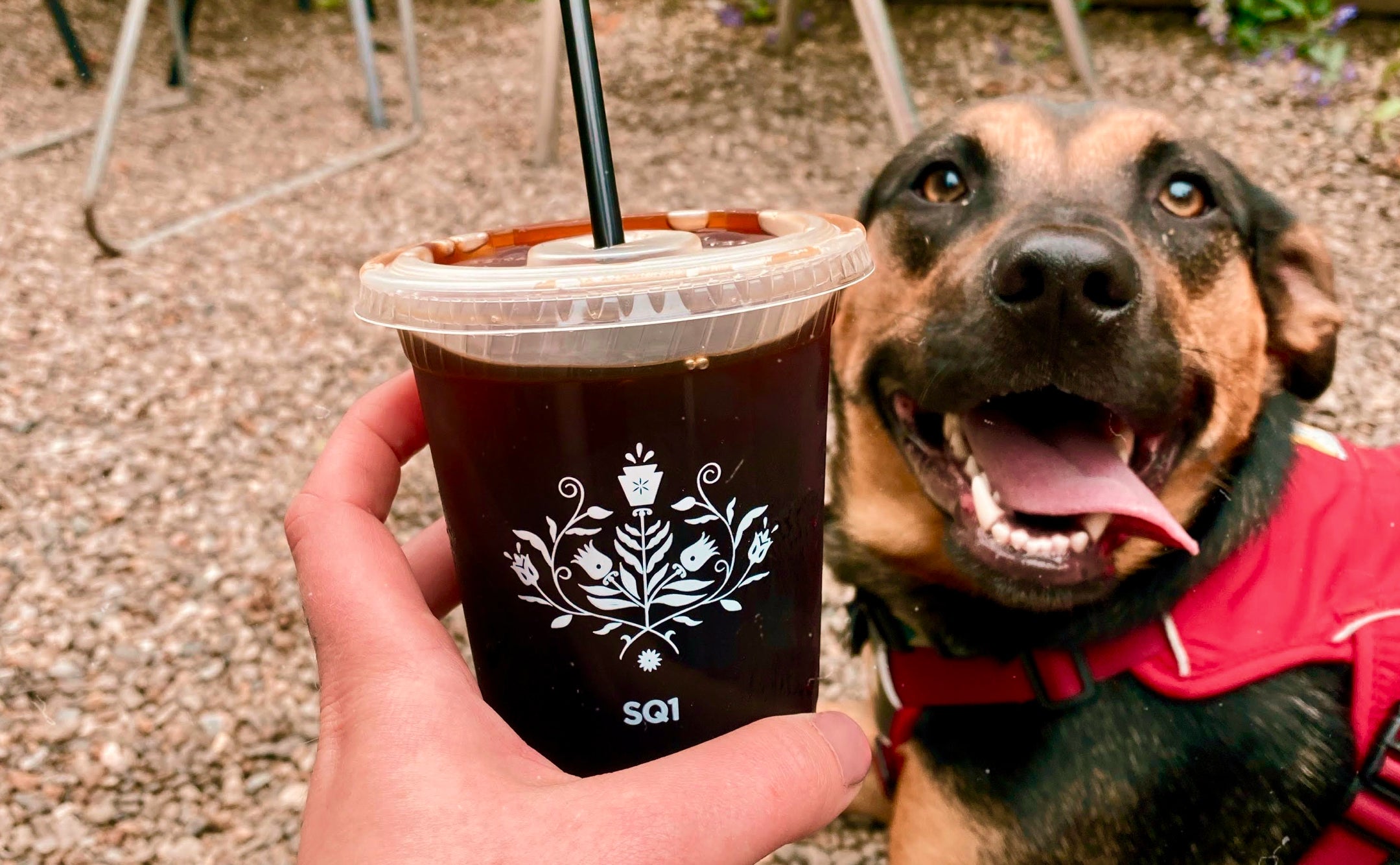Bright Brew for Sunny Days