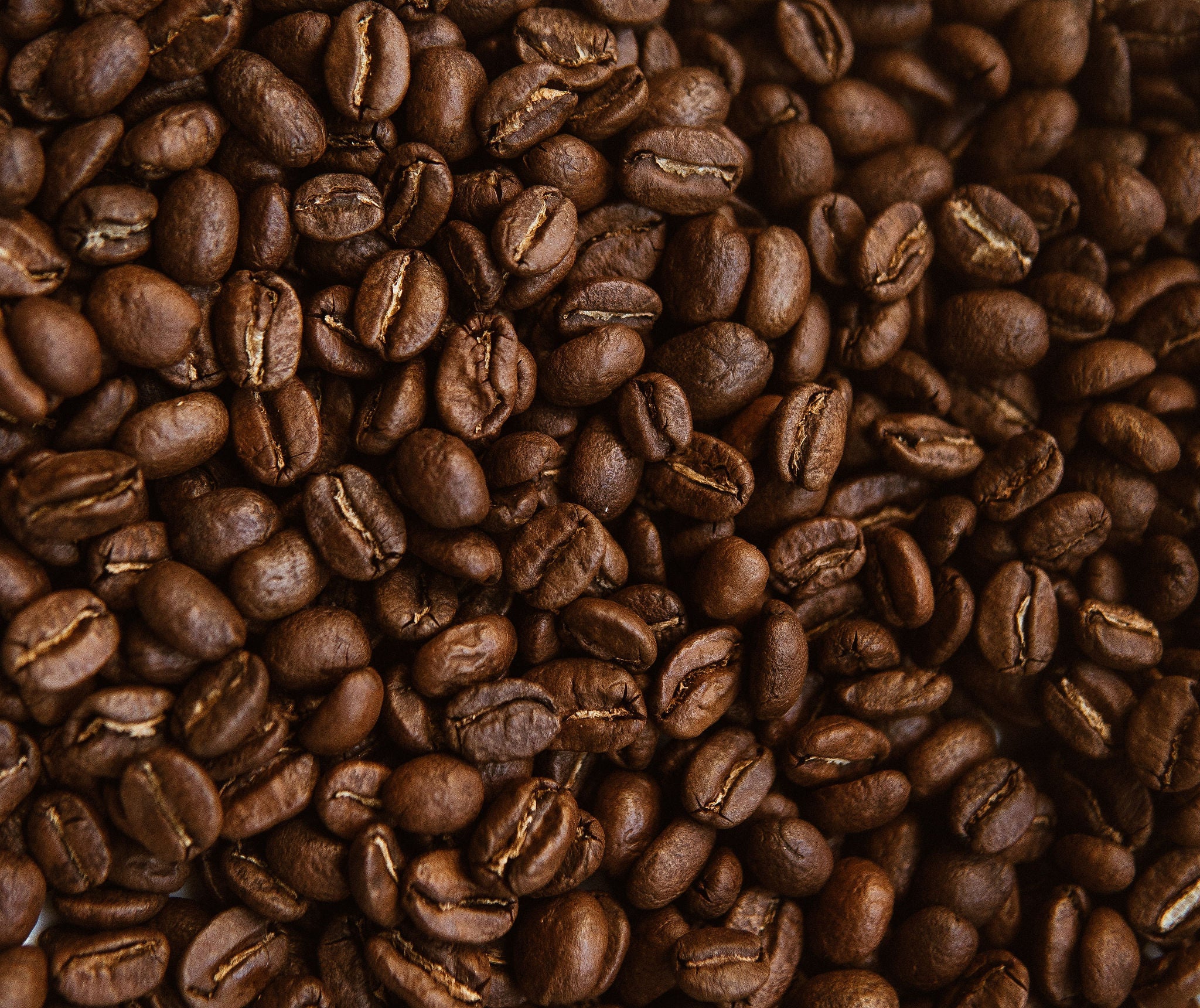 Coffee – Square One Coffee Roasters