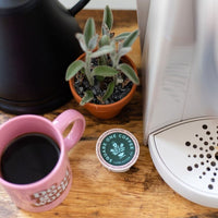 [Wholesale] SQ1 Eco-Pods