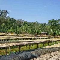 Ethiopia Halo Beriti