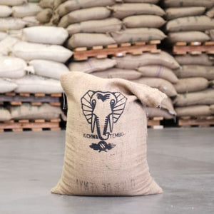 [Wholesale] Kenya Kichwa Tembo AA (Retail)