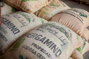 Mexico Women's Co-op