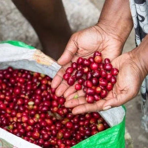 Papua New Guinea Namugo