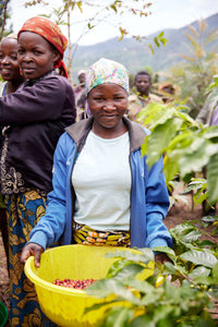 Rwanda Cyato Washing Station