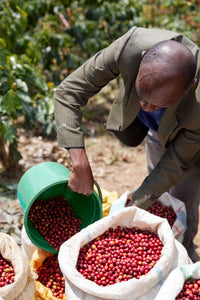 Rwanda Cyato Washing Station