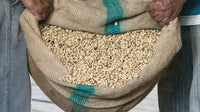 Sumatra Putra Tani