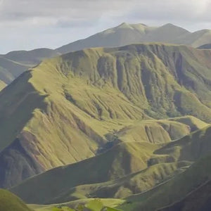 Papua New Guinea Namugo