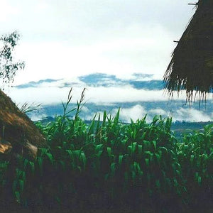 Papua New Guinea Namugo