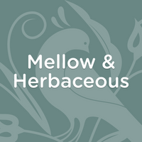 Mellow & Herbaceous Subscription