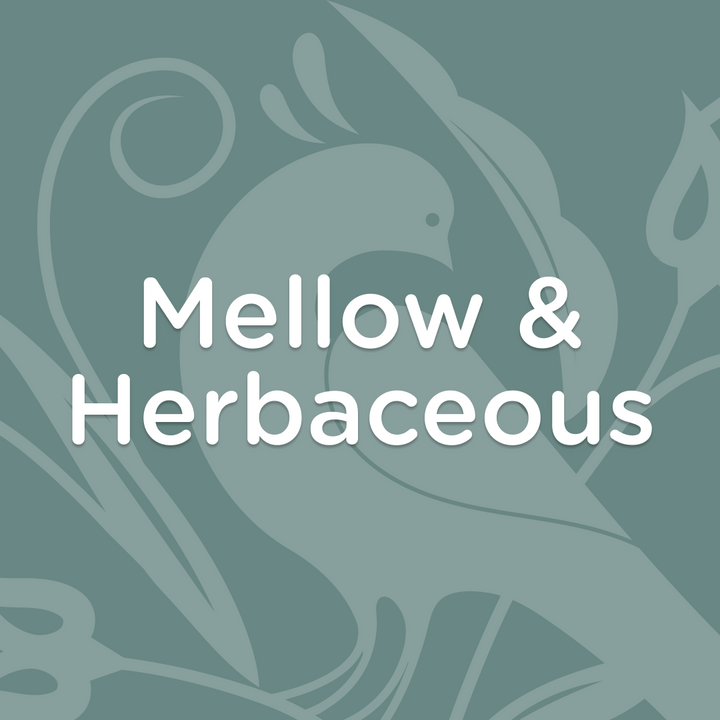Mellow & Herbaceous Subscription