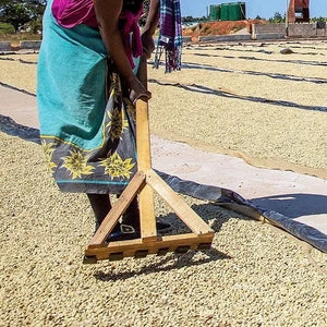 [Wholesale] Zambia Kateshi