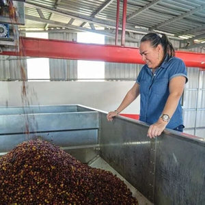 Costa Rica Las Lajas