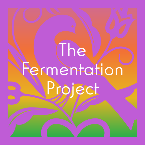 The Fermentation Project tasting set artwork