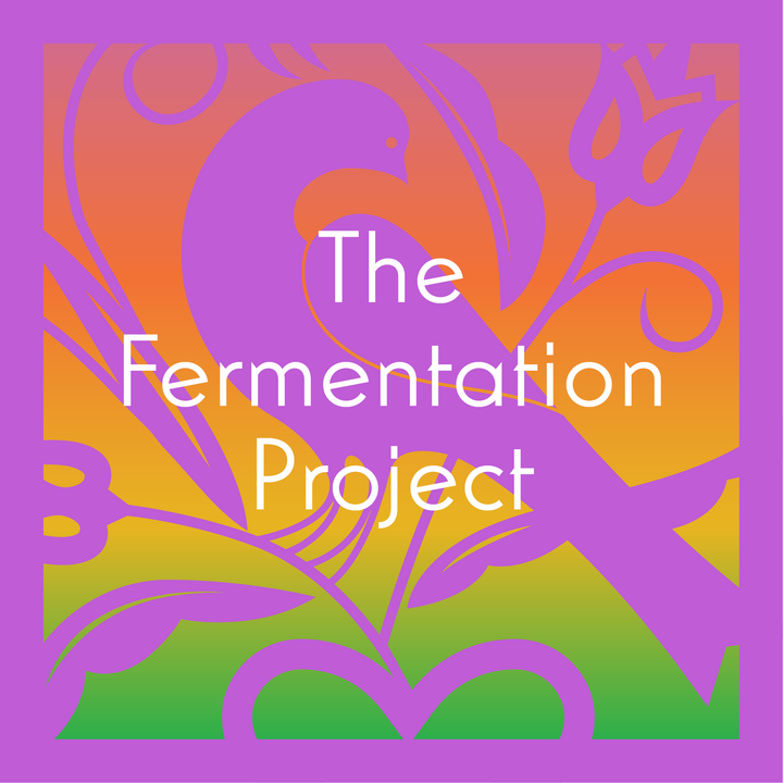 The Fermentation Project tasting set artwork