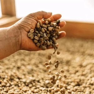 Guatemala Huehuetenango