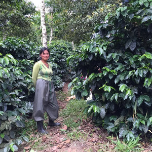 Ecuador Hakuna Matata