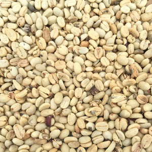 Ecuador Hakuna Matata