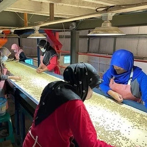 [Wholesale] Java Frinsa Collective