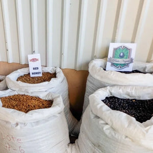 Costa Rica Las Lajas