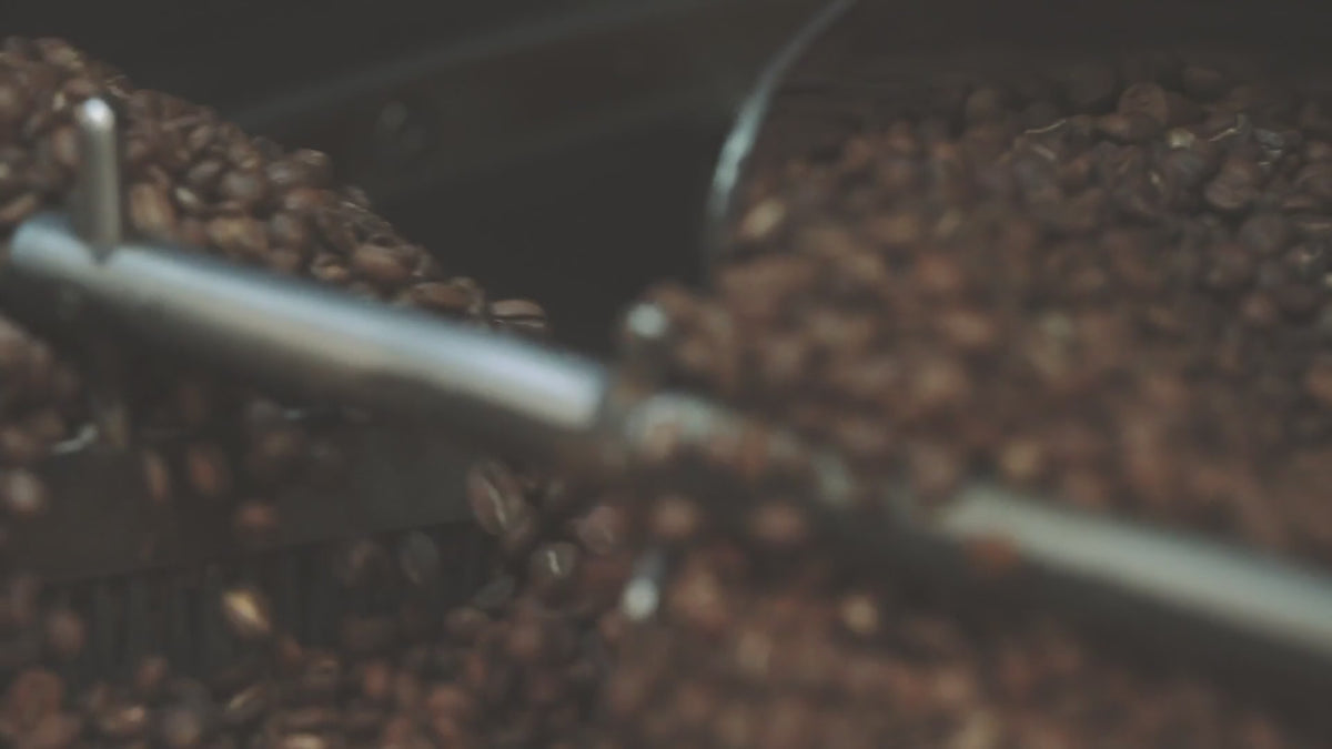 Wholesale Coffee – Square One Coffee Roasters