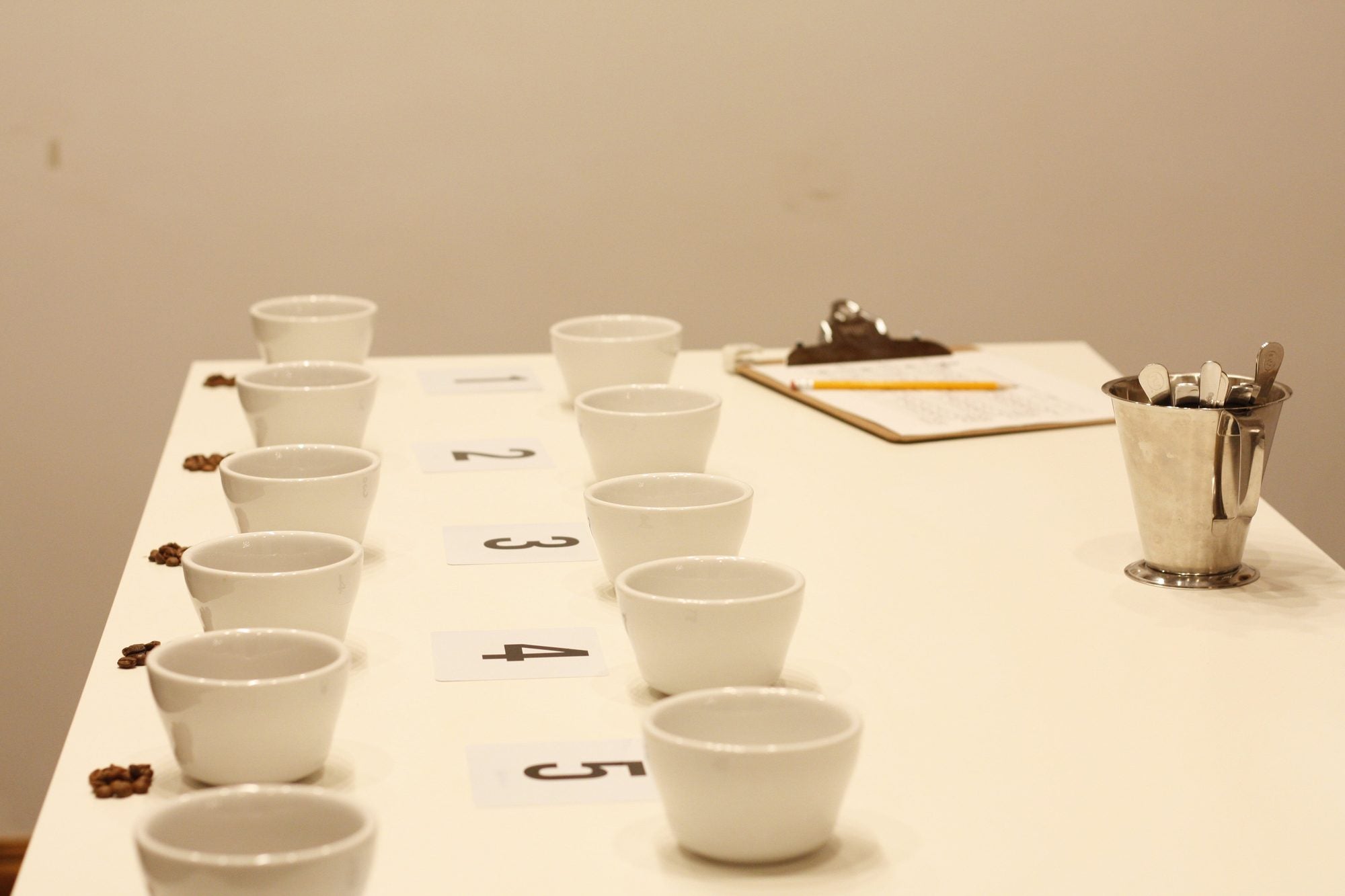 The cupping room at the roastery